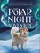 The Polar Night Adventure