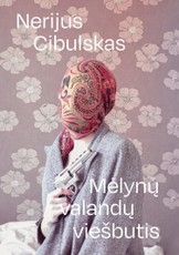 Mėlynų valandų viešbutis