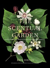 Druse, K: Scentual Garden