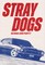 Parfitt, J: STRAY DOGS