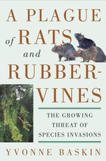Plague of Rats and Rubbervines