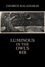 Luminous in the Owl's Rib