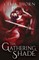 The Gathering Shade
