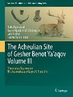 The Acheulian Site of Gesher Benot  Ya'aqov  Volume III