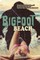 Bigfoot Beach