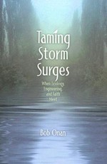 Taming Storm Surges