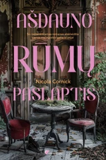 Ašdauno rūmų paslaptis