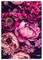 Sąsiuvinis A5 96lap 70g lang BLOOM