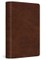 ESV Large Print Bible