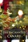Enchanted Canary and Other Fairy Tales