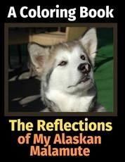 The Reflections of My Alaskan Malamute