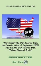 Why Couldn't the USA Recover from the Financial Crisis of September 2008?  How Can the USA Recover from Today's Financial Crisis?