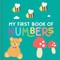 My First Book of Numbers