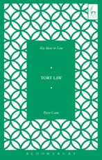 Key Ideas in Tort Law