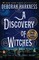 A Discovery of Witches