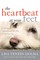 The Heartbeat at Your Feet