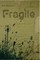 Fragile