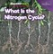 What Is the Nitrogen Cycle?