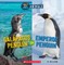 Galapagos Penguin or Emperor Penguin (Wild World: Hot and Cold Animals)