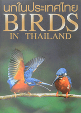 Birds in Thailand