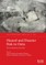 Hazard and Disaster Risk in Ostia