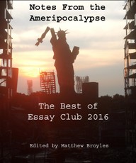 Notes from the Ameripocalypse