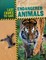 Endangered Animals