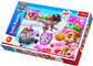 TREFL PAW PATROL dėlionė „Šuniukai-patruliai“, 100 det.