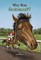 Who Was Seabiscuit?