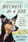 Because of a Dog