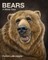 Bears