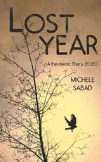 Lost Year