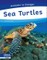 Sea Turtles