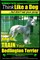 Bedlington Terrier, Bedlington Terrier Training AAA Akc