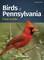 Birds of Pennsylvania Field Guide