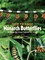 How to Raise Monarch Butterflies