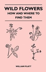 Wild Flowers - How and Where to Find Them