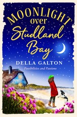Moonlight Over Studland Bay