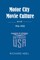 Motor City Movie Culture, 1916-1925