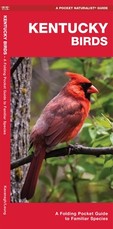 Kentucky Birds