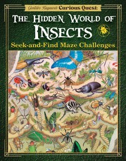 Insect Seek-And-Find Maze Challenge