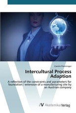 Intercultural Process Adaption