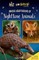 The Nocturnals Explore Unique Adaptations of Nighttime Animals