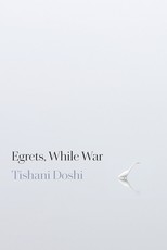 Egrets, While War