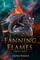 Fanning Flames