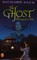 The Ghost Belonged to Me
