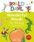 Dahl, R: Wonderful Words for Writing