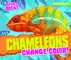 Chameleons Change Color!