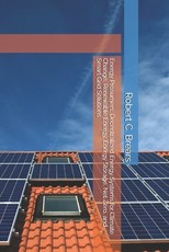 Energy Prosumers