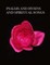 Psalms and Hymns and Spiritual Songs